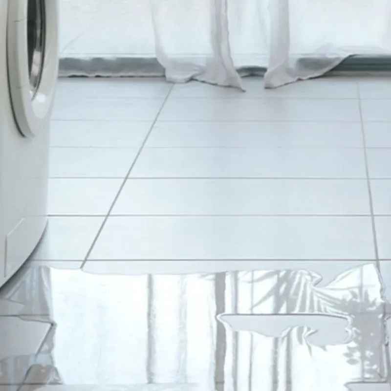 Appliance Leak Cleanup in Linn County, KS