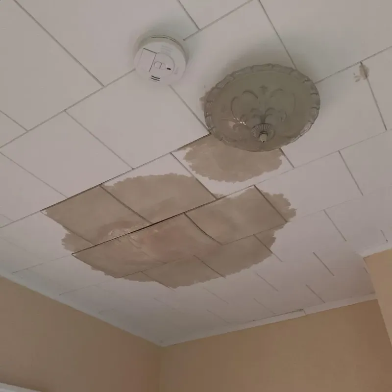 Ceiling Water Damage Repair in Linn County, KS