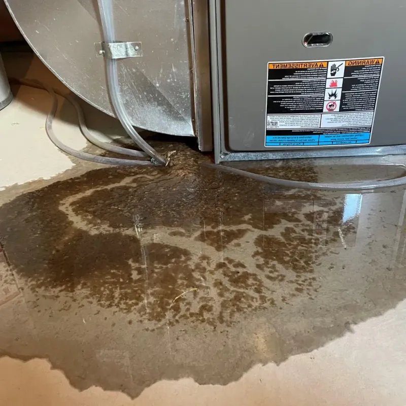 Pipe Burst and Leak Restoration in Linn County, KS