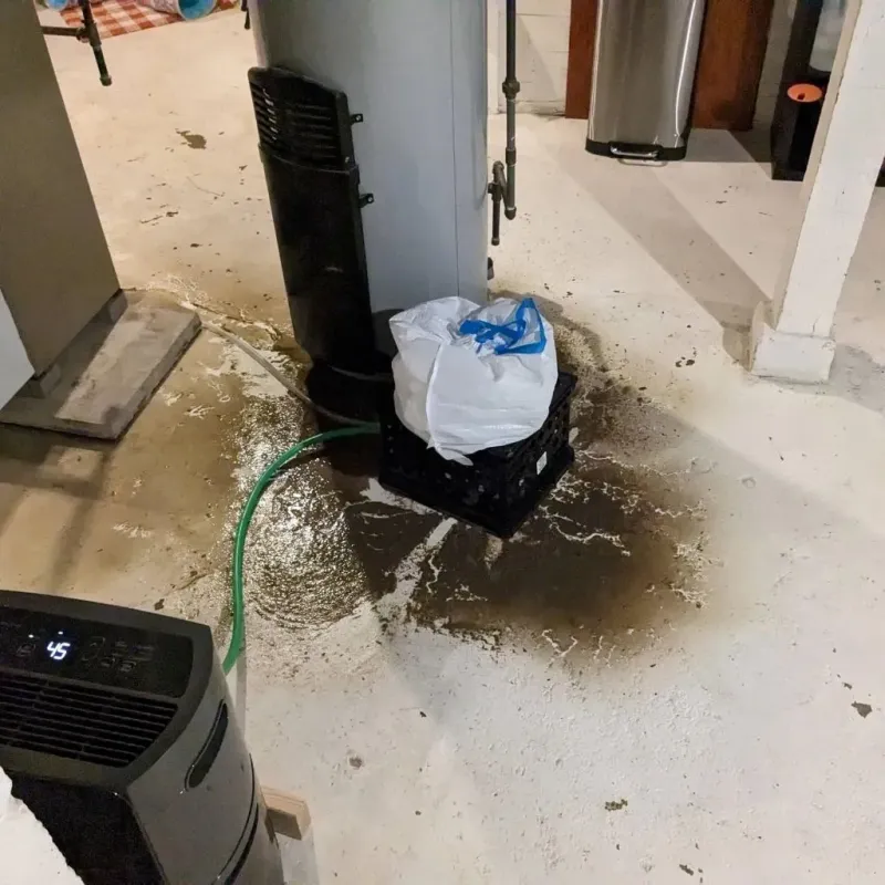 Sewage Backup Cleanup Service in Linn County, KS
